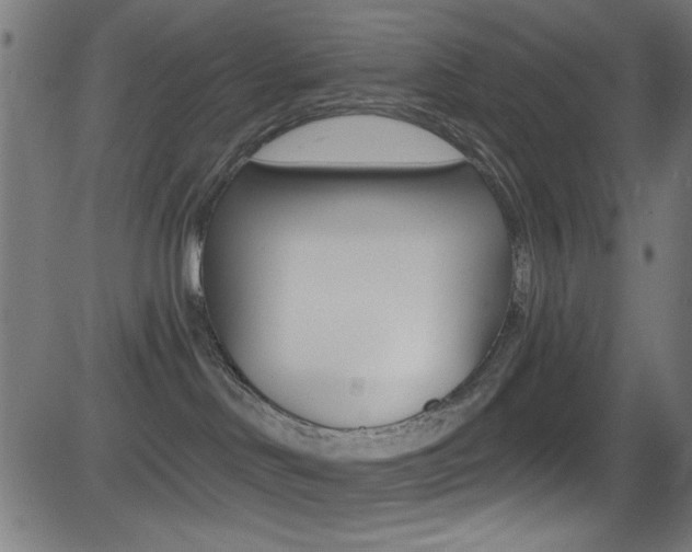 X0000081480046200701121052