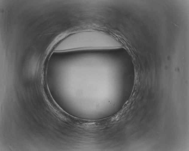 X0000081480054200701121052