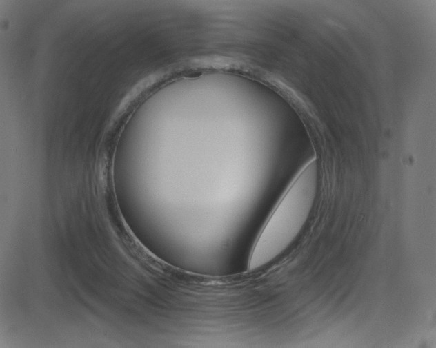 X0000081480064200701121052