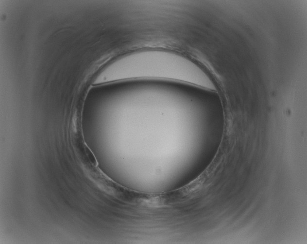 X0000081480068200701121052
