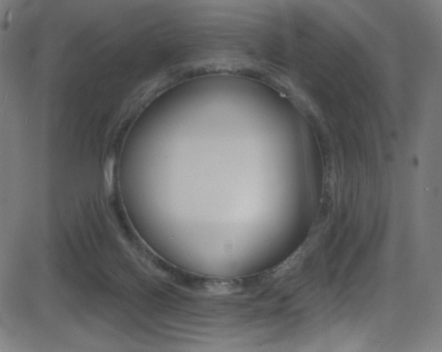 X0000081480070200701121052