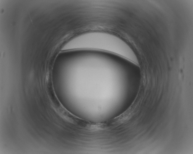X0000081480072200701121052