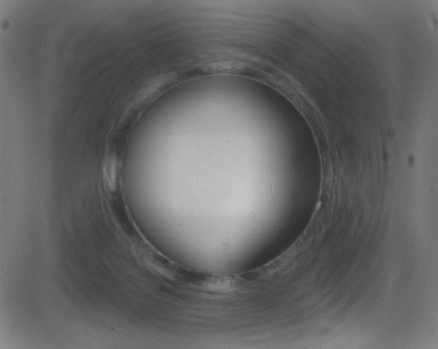X0000081480076200701121052