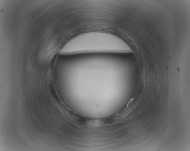 X0000081480079200701121052