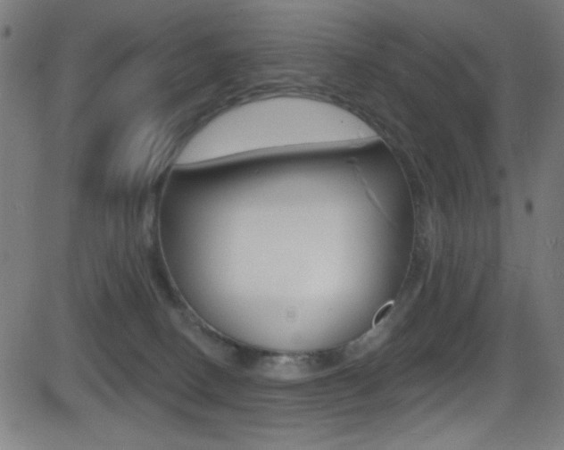 X0000081480082200701121052