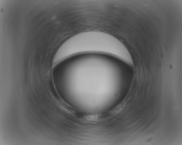 X0000081480084200701121052