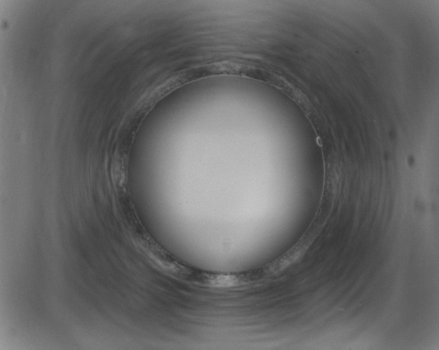 X0000081480091200701121052