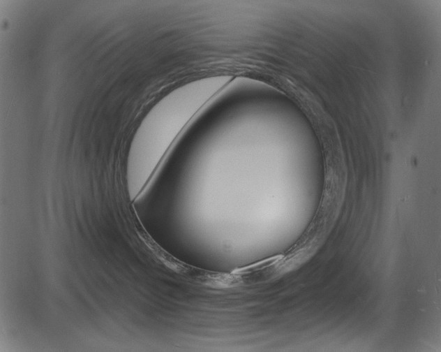 X0000081480096200701121052