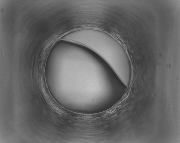 X0000081480097200701121051