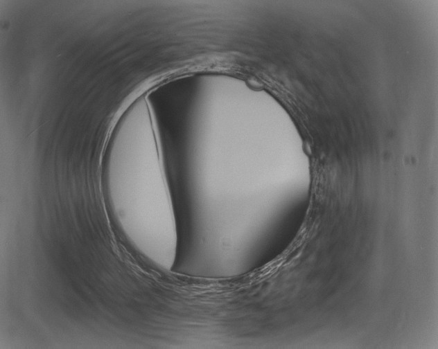 X0000081480100200701121051