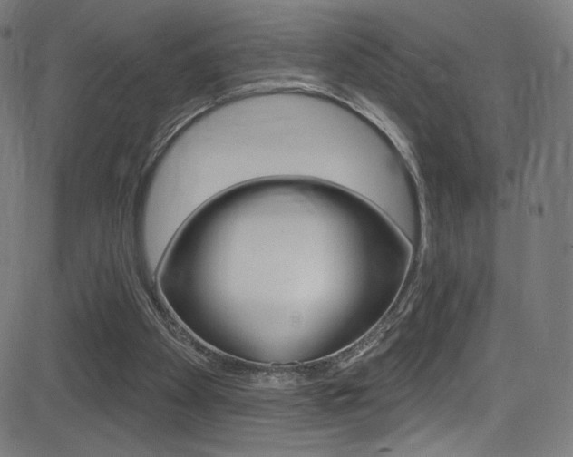 X0000081480105200701121051