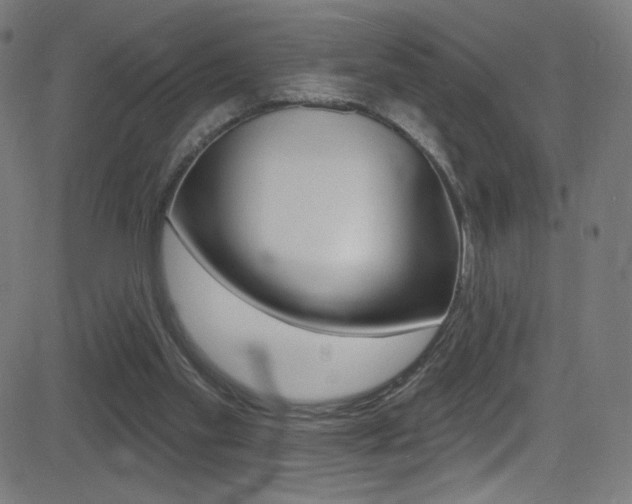 X0000081480109200701121051