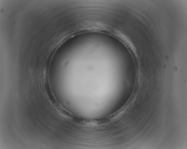 X0000081480113200701121051