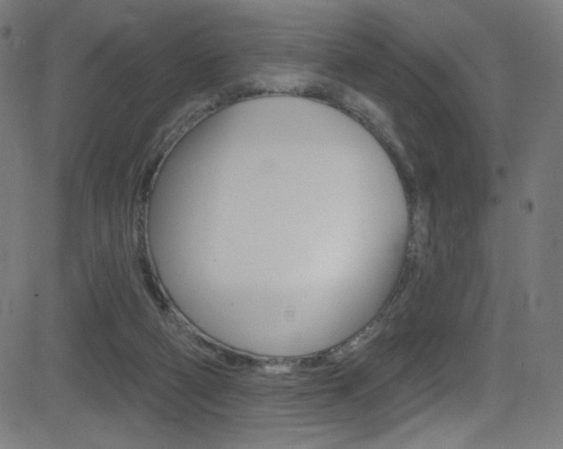 X0000081480114200701121051