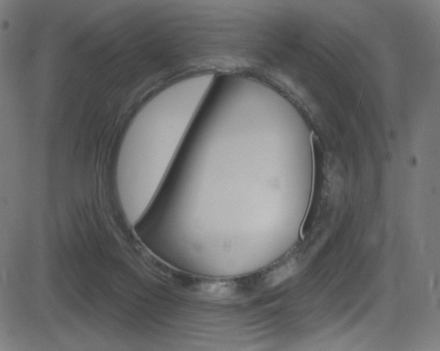 X0000081480117200701121051