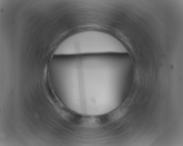 X0000081480118200701121051
