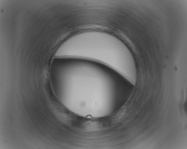 X0000081480119200701121051