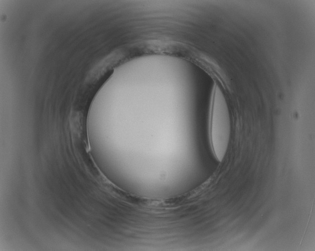 X0000081480121200701121051