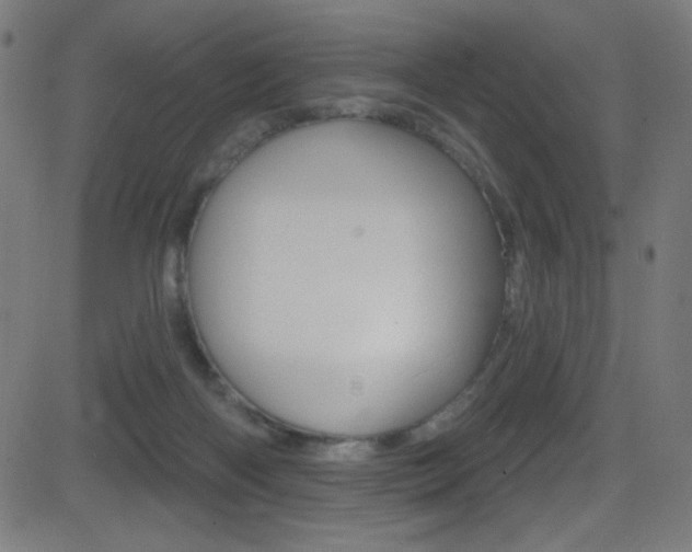 X0000081480122200701121051