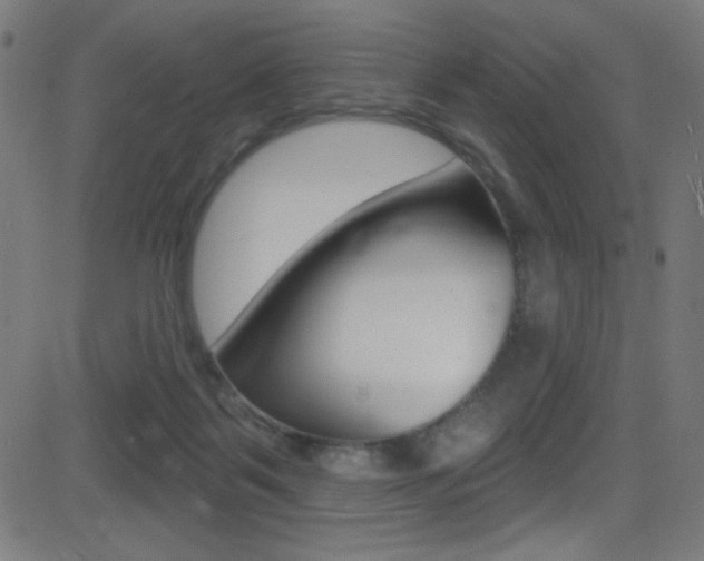 X0000081480123200701121051