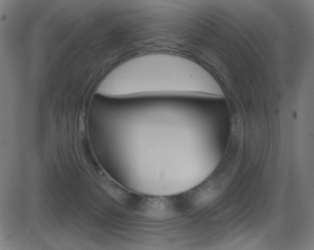 X0000081480127200701121051