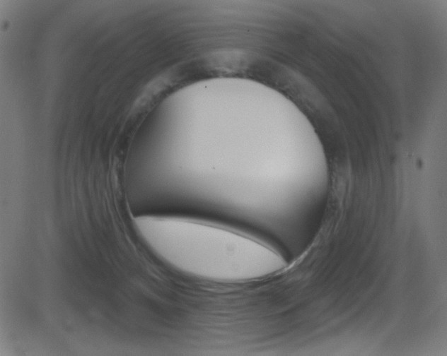 X0000081480128200701121051