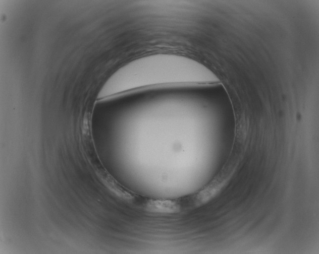X0000081480137200701121051