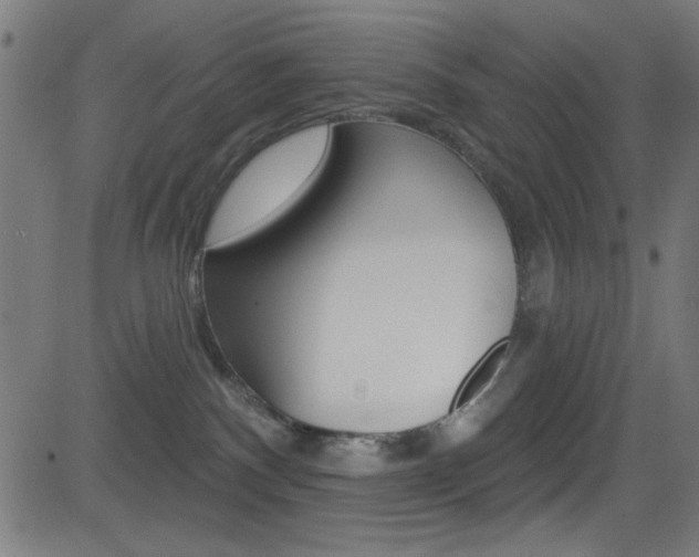 X0000081480140200701121051