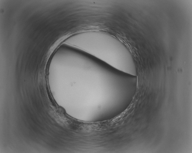 X0000081480147200701121050