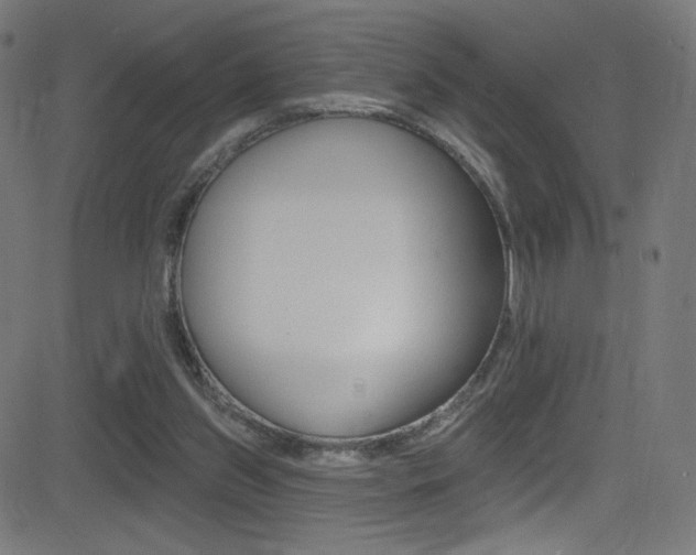 X0000081480157200701121050
