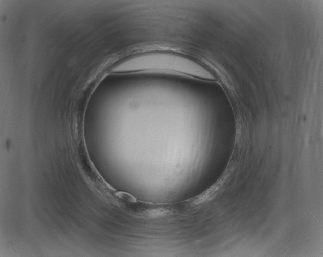 X0000081480158200701121050