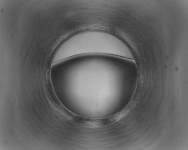 X0000081480164200701121050