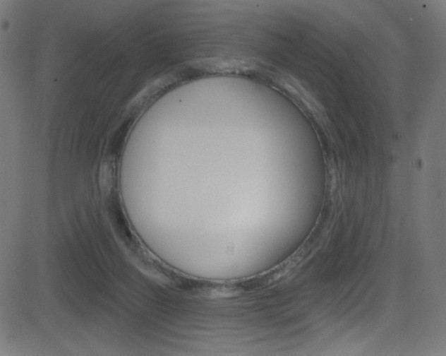 X0000081480165200701121050
