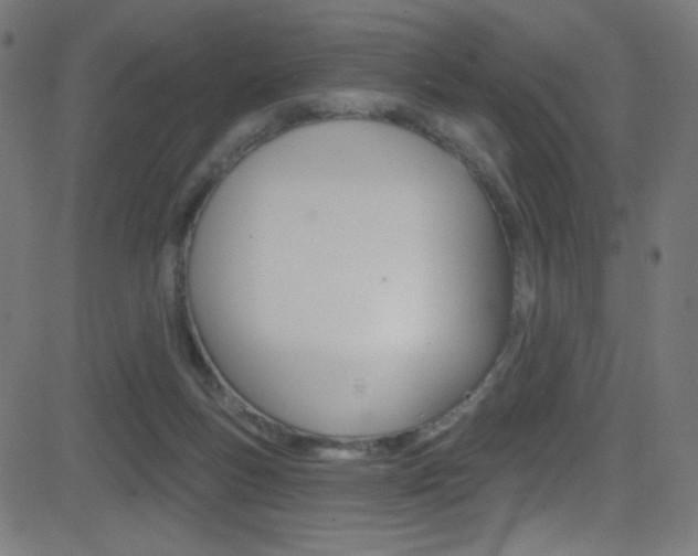 X0000081480167200701121050