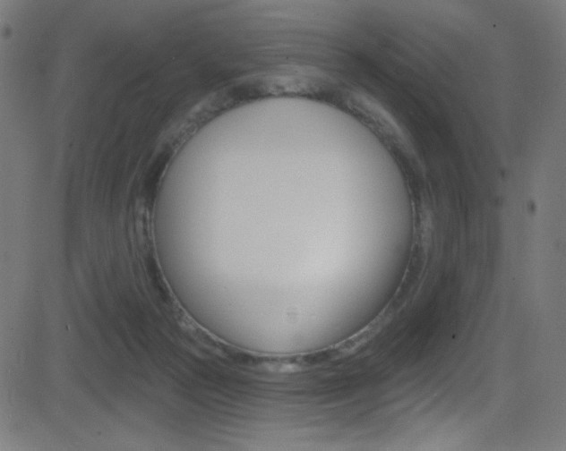 X0000081480169200701121050