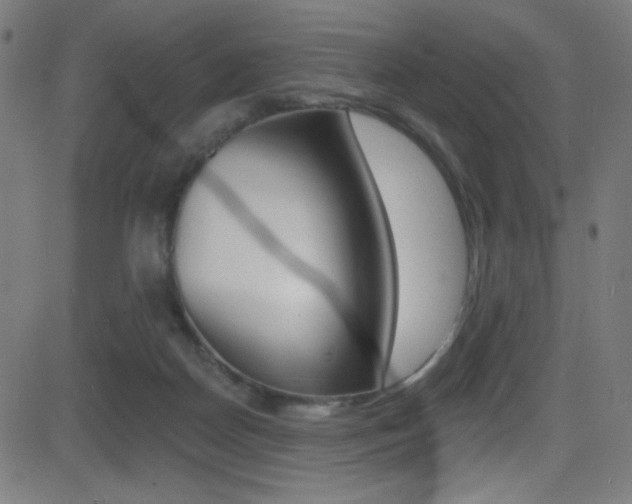 X0000081480170200701121050