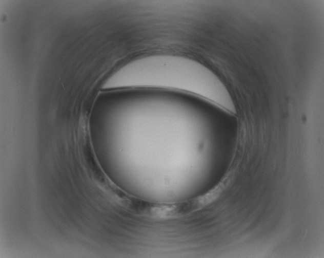 X0000081480172200701121050