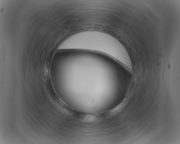X0000081480176200701121050