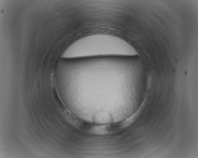X0000081480178200701121050