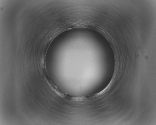 X0000081480192200701121051