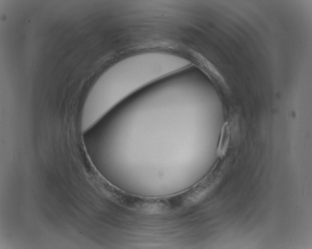 X0000081480209200701121050