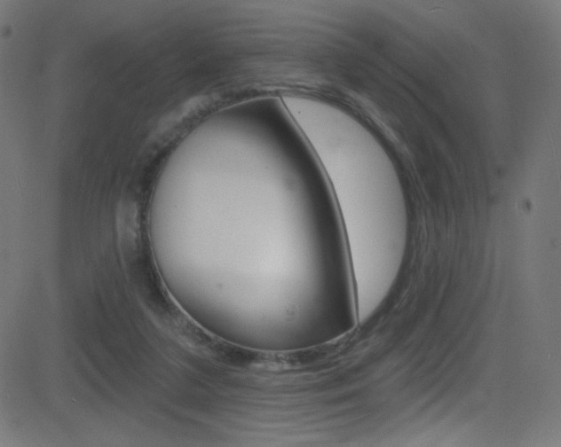 X0000081480211200701121050
