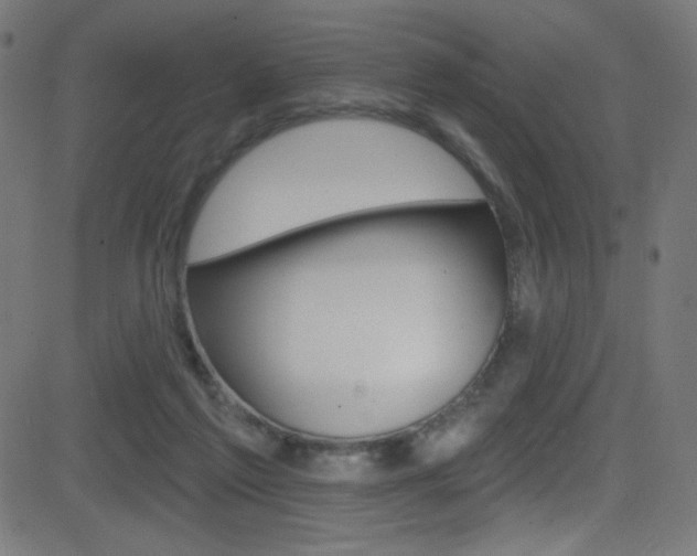 X0000081480213200701121049