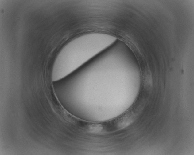 X0000081480214200701121049