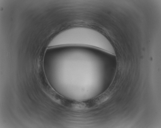X0000081480215200701121049