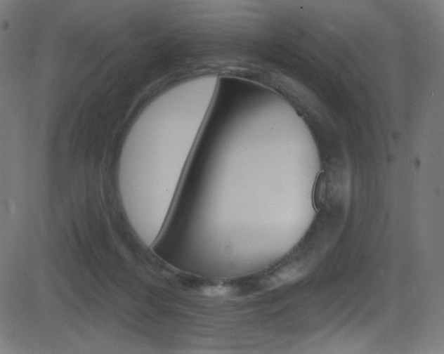 X0000081480216200701121049