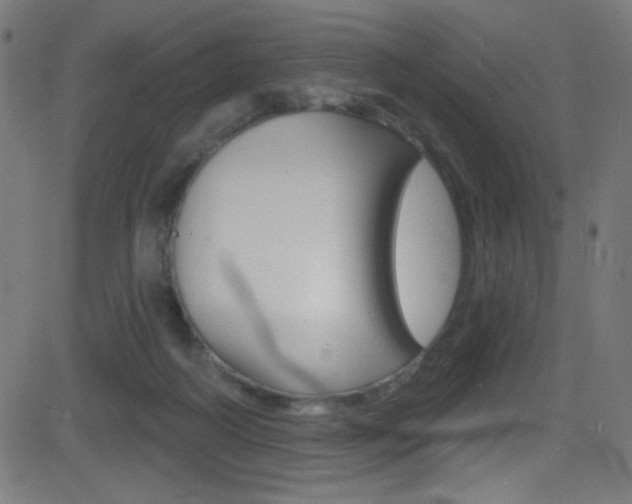 X0000081480218200701121049