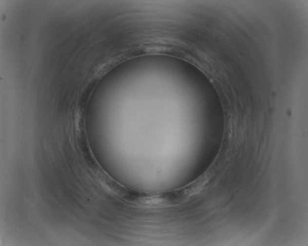 X0000081480219200701121049
