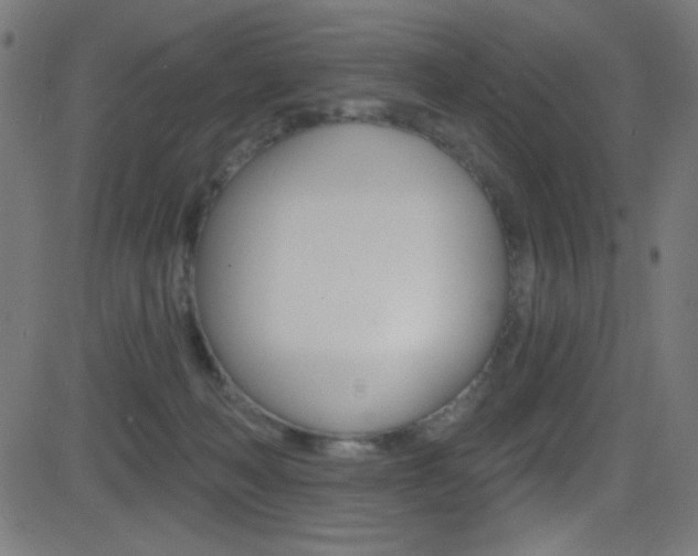 X0000081480222200701121049