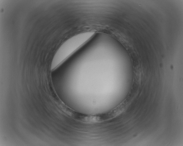 X0000081480225200701121049